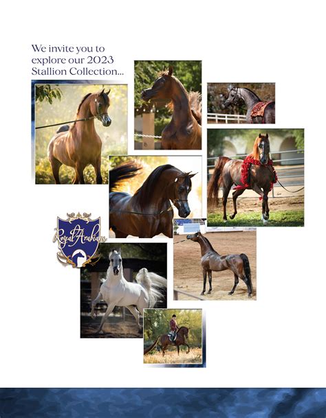 2023 Scottsdale Arabian Horse Show Program by Arabian Horse Times - Issuu