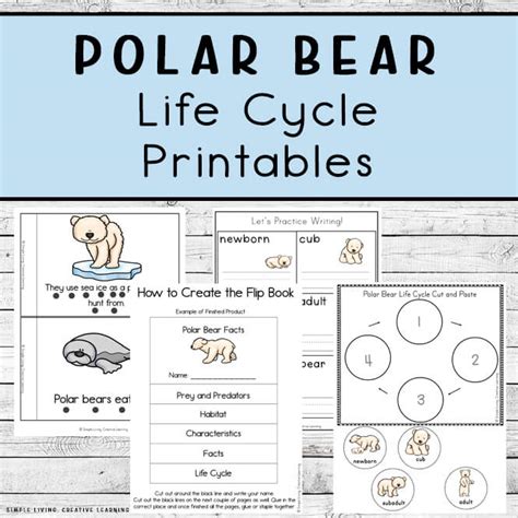 Polar Bear Life Cycle Printables - Simple Living. Creative Learning