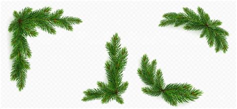 Pine tree branch border. green fir twigs frame 21795057 Vector Art at Vecteezy