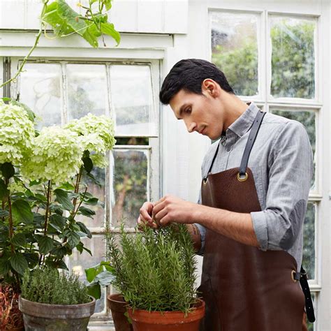 How to Prune Rosemary: Best Pro Tips | The Family Handyman