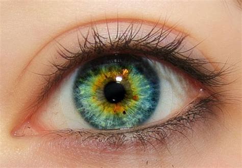 31 Awesome heterochromia blue green images | Beautiful eyes color, Aesthetic eyes, Blue green eyes