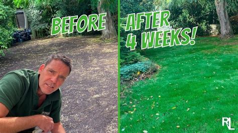 AMAZING BEFORE AND AFTER LAWN IN 4 WEEKS - YouTube