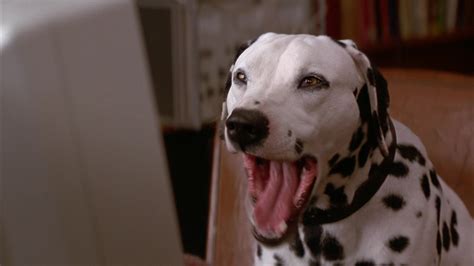 101 Dalmatians (1996) Screencap | Fancaps