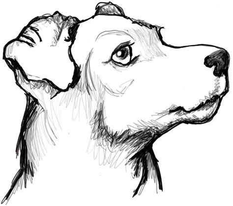 How to Draw a Terrier's Face / Dog's Face with Easy Steps - How to Draw ...