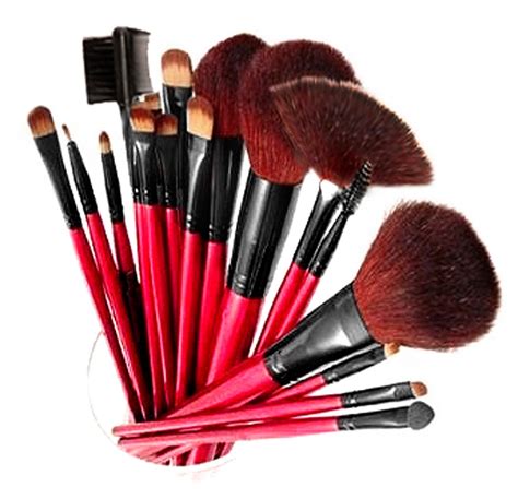 Makeup Brushes 101 | You Put It On