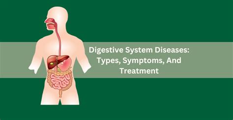 What Are The Digestive System Diseases? - Bansal Hospital