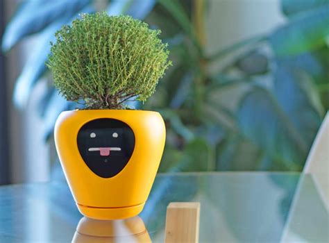 This Smart Planter Will Monitor Your Indoor Plants, and It Acts Just ...