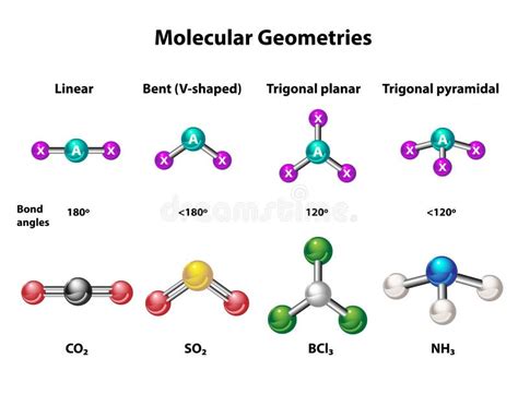 Estructura De Geometría Molecular De Elementos Ilustración del Vector - Ilustración de diagrama ...