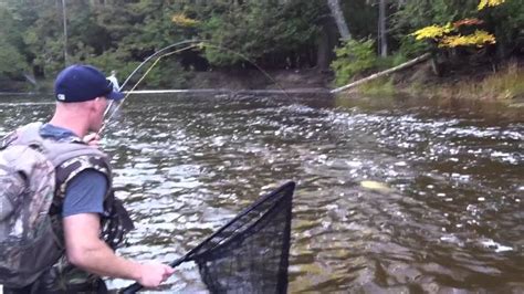 Fly Fishing 10WT Betsie River Salmon Homestead Dam 10/13 - YouTube