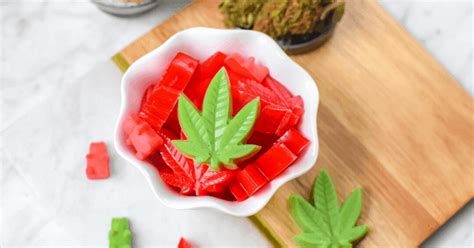 Cannabis Gummies Made with Oil or Butter » Emily Kyle, MS, RDN