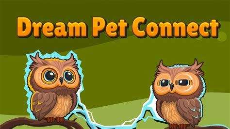 Dream Pet Connect - Play online for free