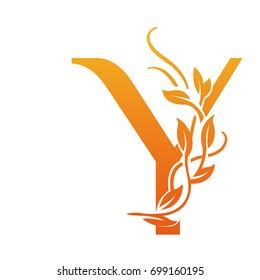 Vector Flourish Orange Letter Y Logo Stock Vector (Royalty Free) 699160195