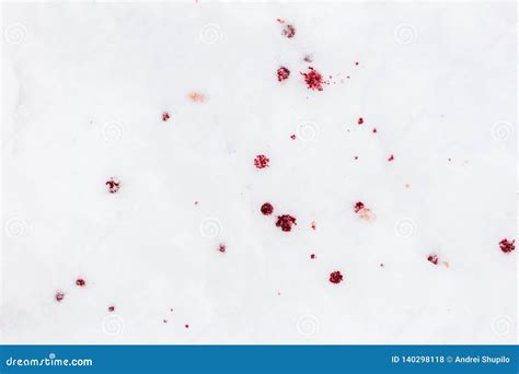 Red Blood on White Snow As a Background Stock Photo - Image of murder ...