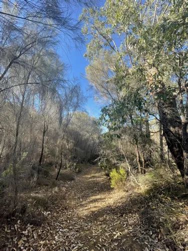 Best Hikes and Trails in Greenmount National Park | AllTrails