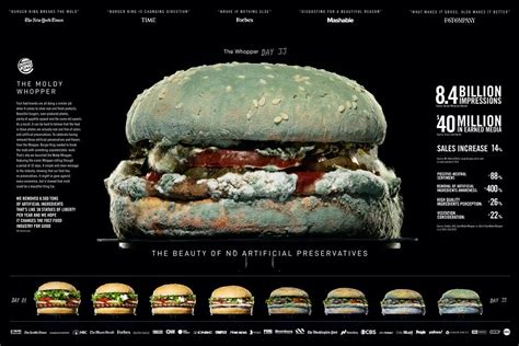 BK Moldy Whopper - Campaign Analysis — Alina Vlaicu