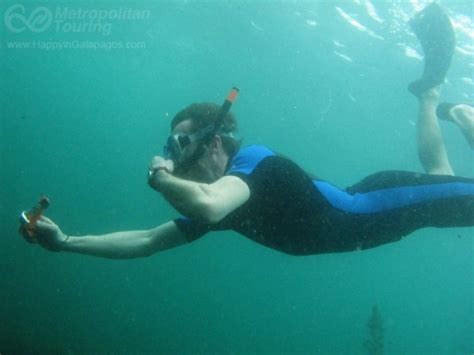 Galapagos Photo Snorkeling at Tagus Cove in Galapagos Islands