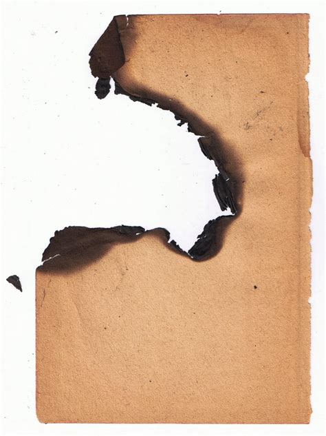 Free Burned Paper Texture Texture - L+T