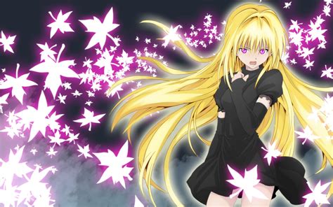 widescreen wallpaper black cat | Black cat anime, Anime art, Anime