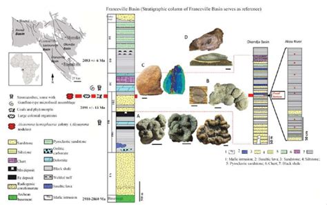 Geological context of fossiliferous Palaeoproterozoic sediments in ...