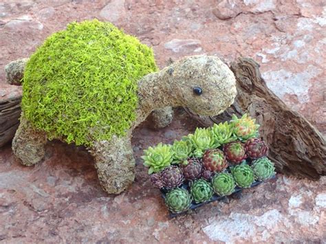 The Succulent Turtle Planter Is An Adorable Way To Show Off In 2020