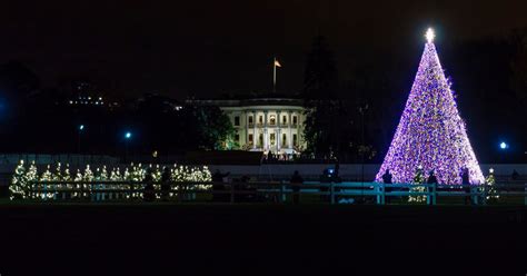 Where to watch the National Christmas Tree Lighting Ceremony | Digital ...