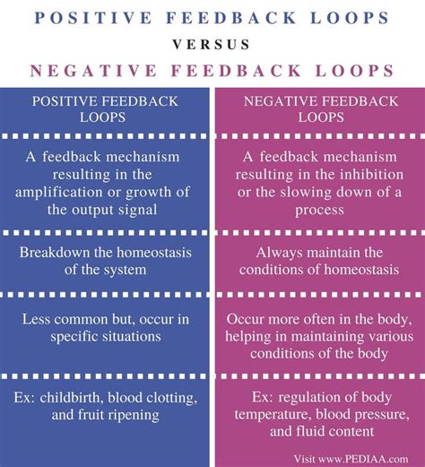 Difference Between Positive and Negative Feedback Loops in Biology - Pediaa.Com | Basic anatomy ...