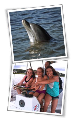 Dolphin Tours Hilton Head | Hilton Head Dolphin Cruise and Boat Tour