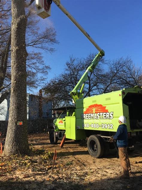 Tree Master Tree Services Ocean County, Monmouth County