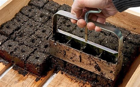 The HUGE Benefits Of Growing In Soil Blocks Revealed