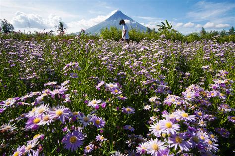 Bicol tourism gradually reopens; safety measures in place | Inquirer News