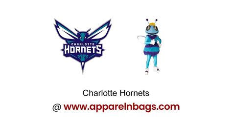 Charlotte Hornets Color Codes - Color Codes in Hex, Rgb, Cmyk, Pantone