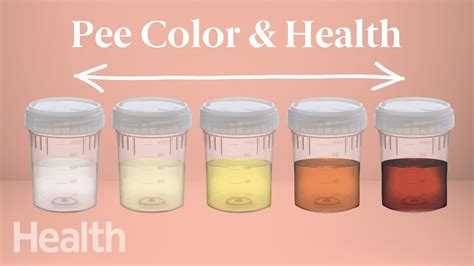 different colours of urine know what they imply about overall health - how to read urine colour ...