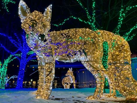 Wild Lights – Light up your night this holiday season at the Detroit Zoo