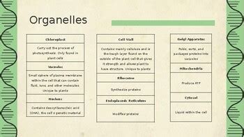 Plant Biology Slideshow by Cassandra's Ag Curriculum | TPT