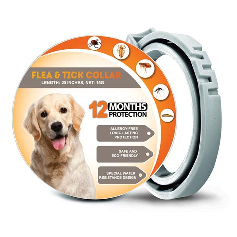 What Is The Best Dog Flea Collar