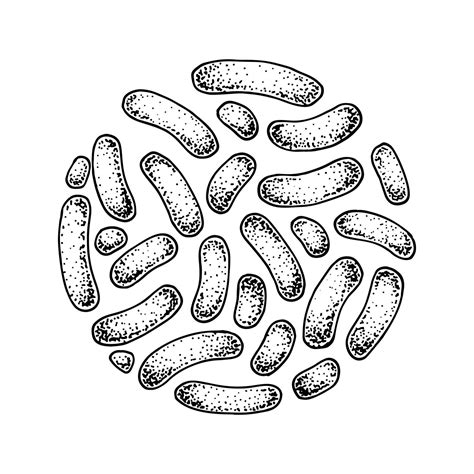 Hand drawn probiotic propionibacterium bacteria. Good microorganism for human health and ...