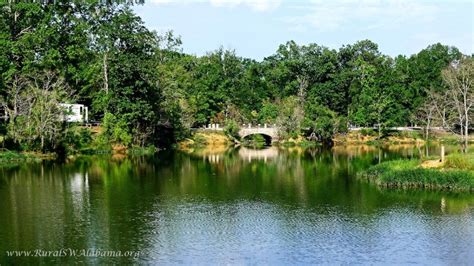 Foscue Creek Park at Demopolis, AL (a beautiful park managed by the U. S. Army Corp of Engineers ...