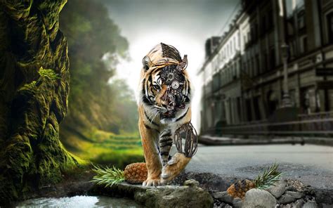 Anime Tigers Wallpapers - Wallpaper Cave