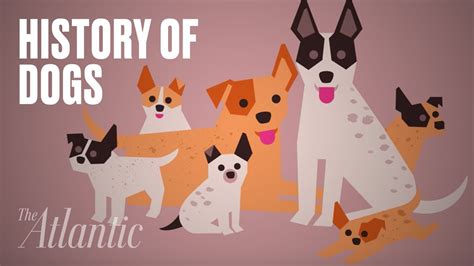 The Origin of Dogs - YouTube