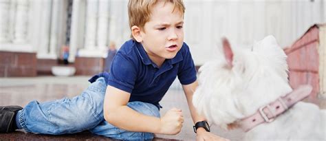 Is it normal for your preschooler to hurt animals? | Parenting