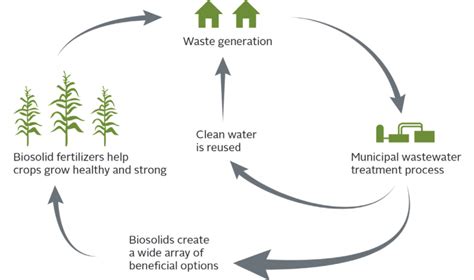 The Facts About Biosolids - Synagro