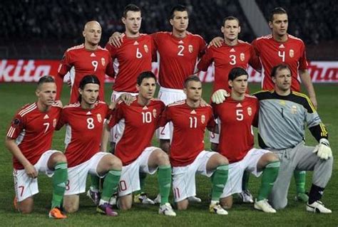 The World Soccer Gallery: Hungary national football team