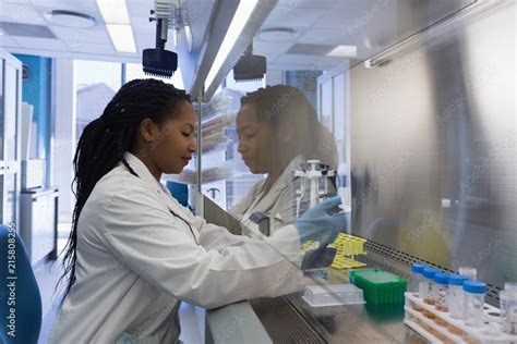 Scientist doing experiment in lab Stock Photo | Adobe Stock