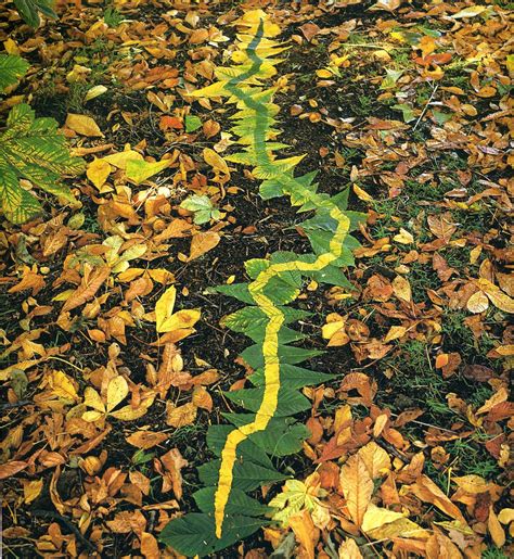 AP 3D Studio : Andy Goldsworthy