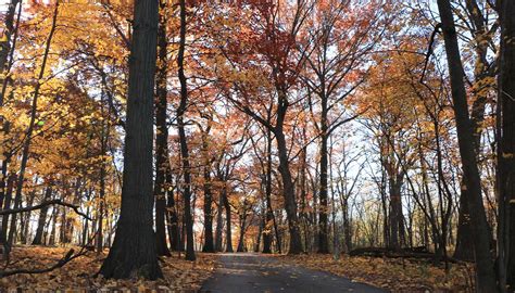 Bunker Hill - Forest Preserves of Cook County