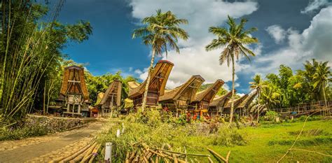 Toraja Village & Traditional House | Sulawesi | Authentic-Indonesia