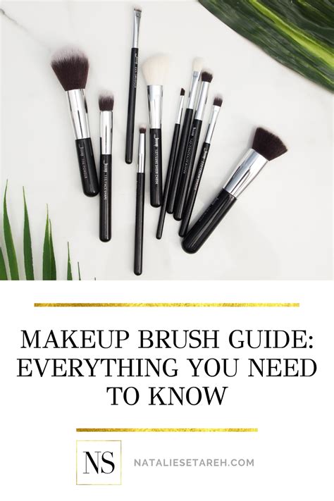 Makeup Brush Guide: Everything About Makeup Brushes - Natalie Setareh