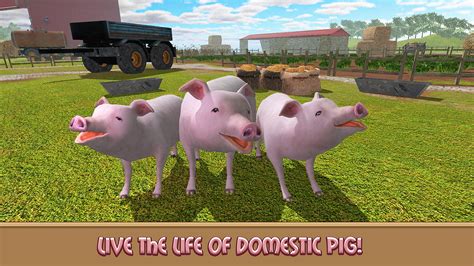 Pig Boar Simulator - House Animal Family Adventure | Evolution of Tiny ...