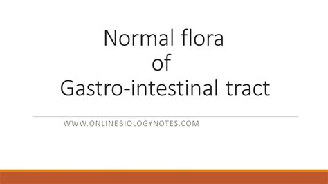 Normal flora of Gastrointestinal tract - Online Biology Notes