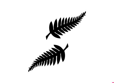 New Zealand football logo.